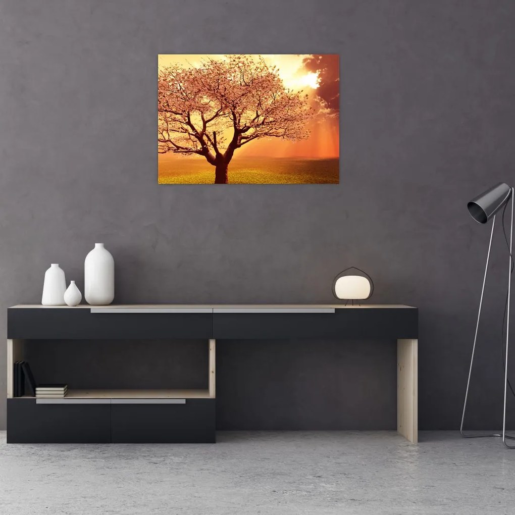 Obraz promieni Boga (70x50 cm)