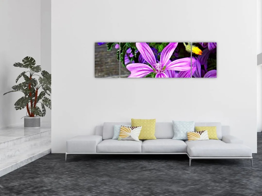 Obraz - kwiaty polne (170x50 cm)