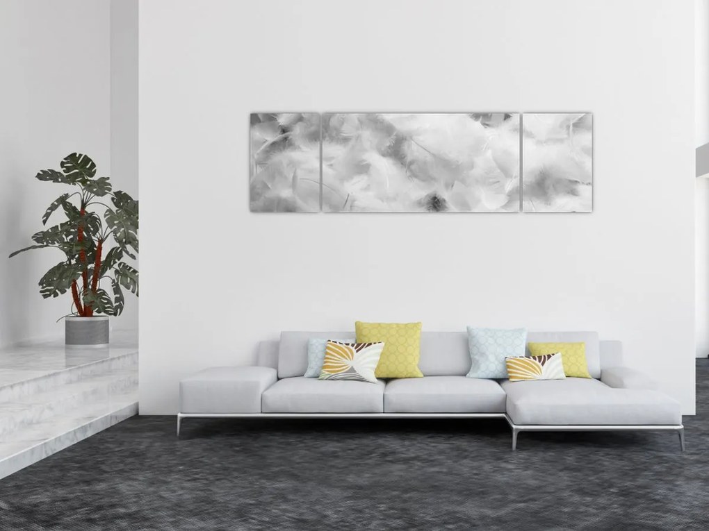 Obraz - Chmury piór (170x50 cm)