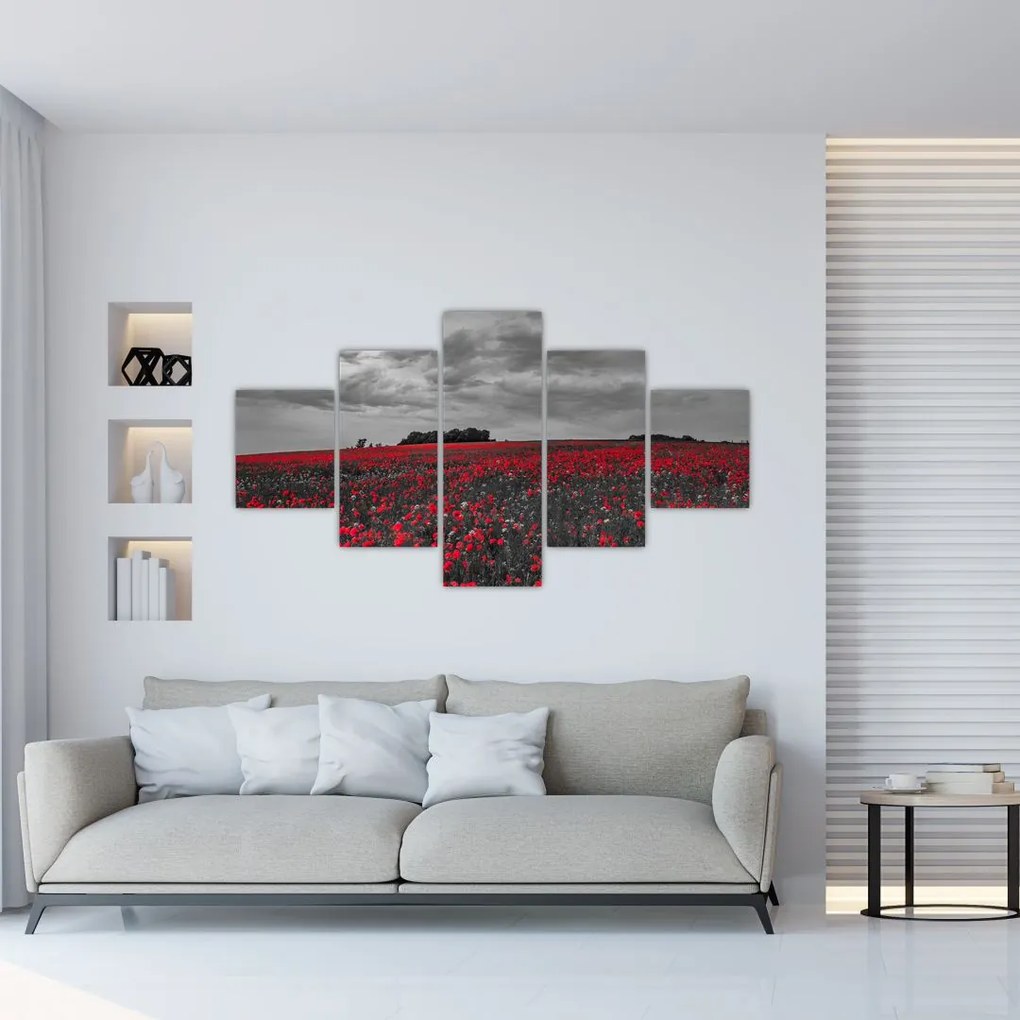 Obraz maków (125x70 cm)