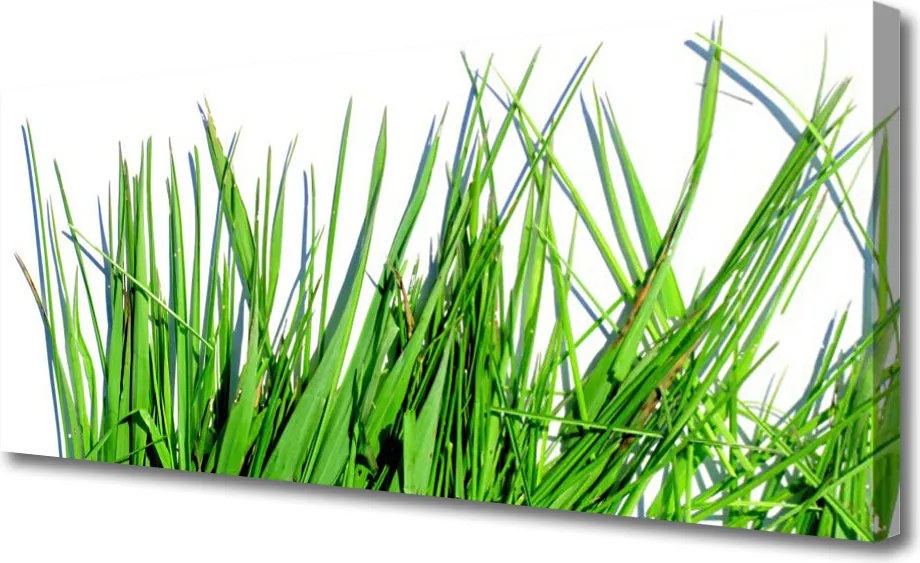 Obraz canvas na ścianę Naturalny Motyw Trawy