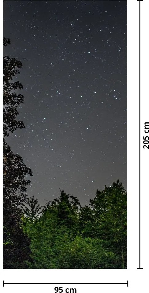 Fototapeta na drzwi - Nocne niebo (95x205cm)