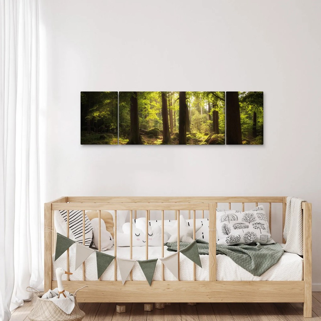 Obraz sennego lasu (170x50 cm)