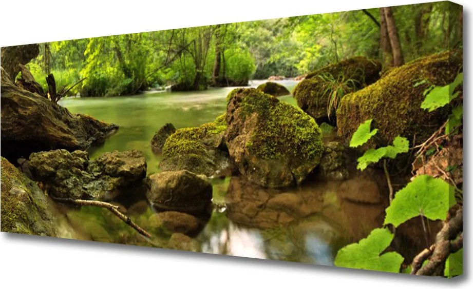 Obraz na płótnie Skała nad Cichym Jeziorem