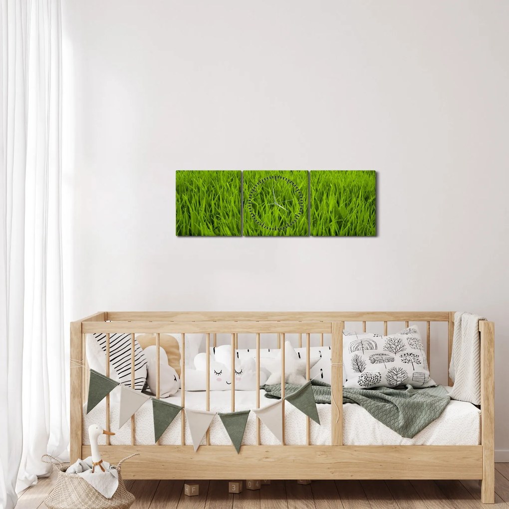 Obraz trawy (z zegarem) (90x30 cm)