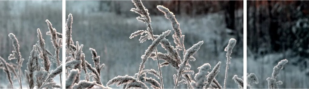 Obraz - Frozen Meadow (170x50 cm)