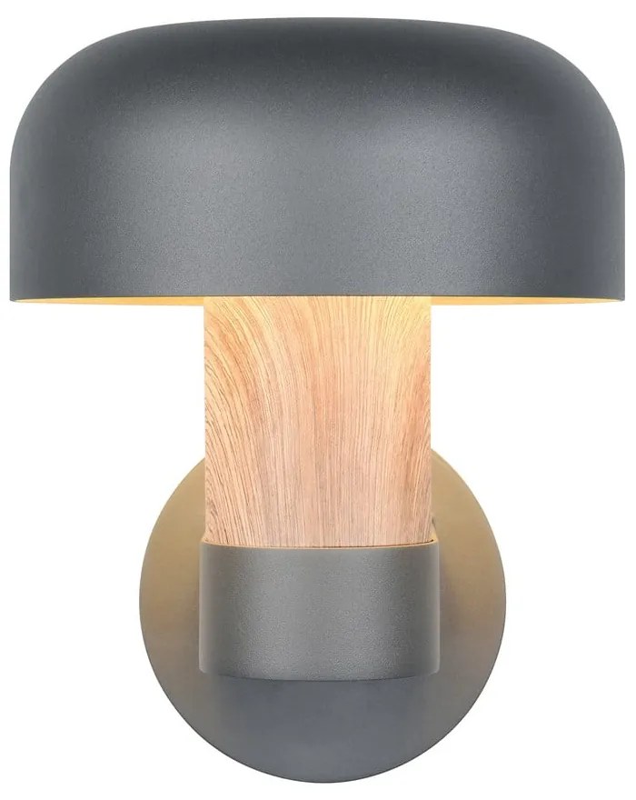 Zewnętrzna lampa ścienna (wysokość 24,5 cm) Fraser – Trio