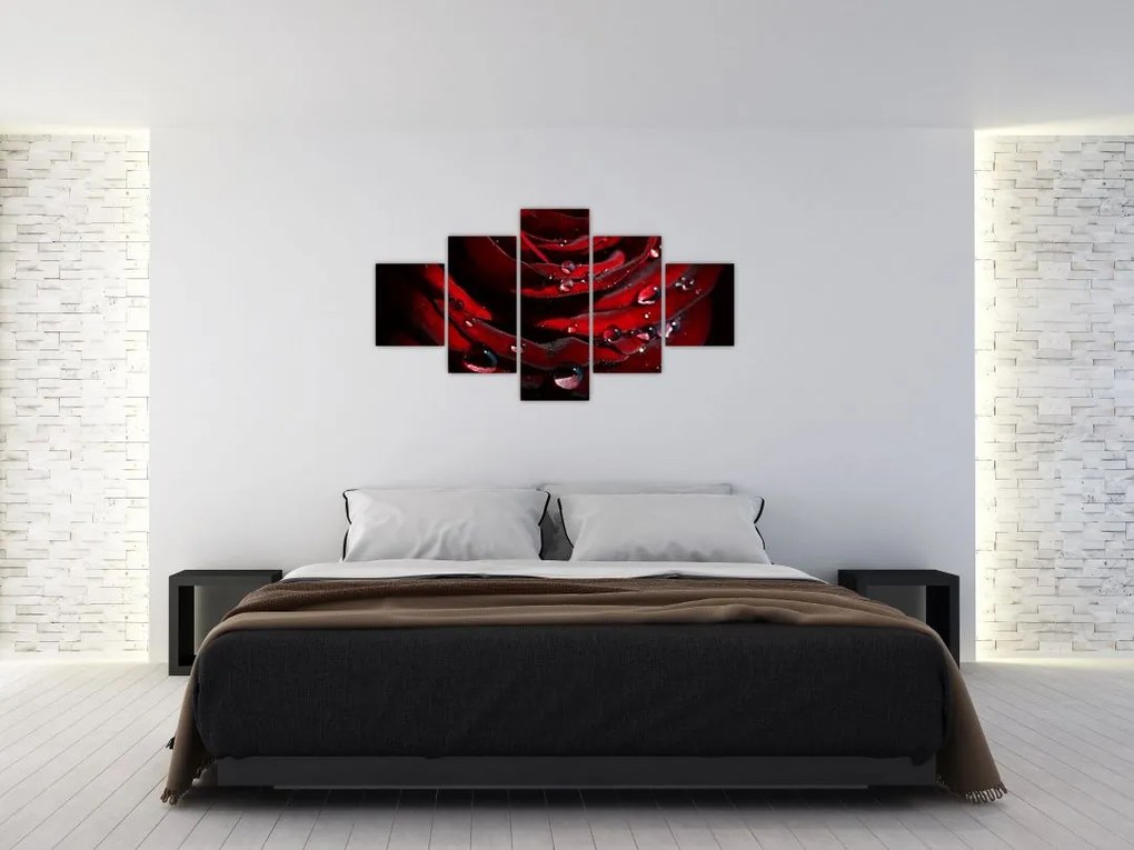 Obraz - Detal róży (125x70 cm)
