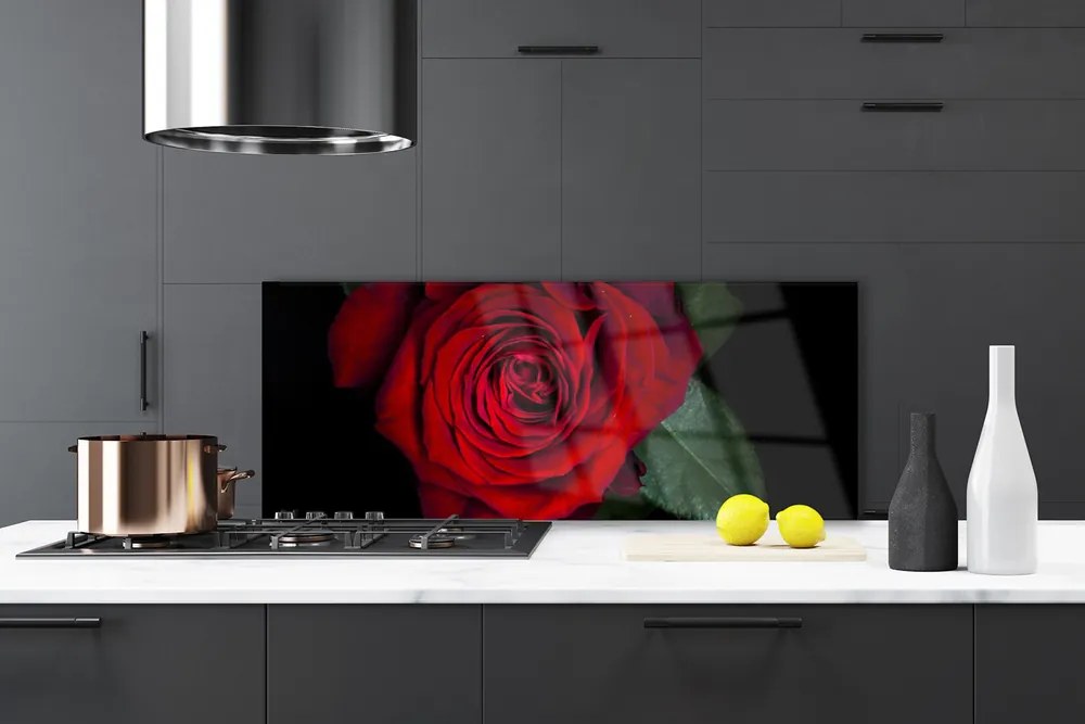 Panel Szklany do Kuchni Elegancka Róża W Zbliżeniu