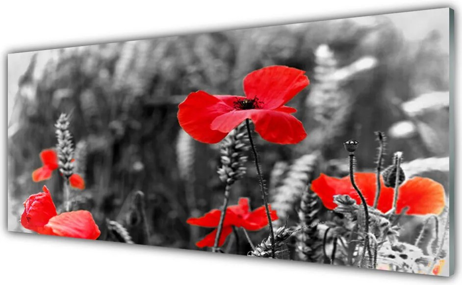 Panel Kuchenny Klasyczne Czerwone Maki