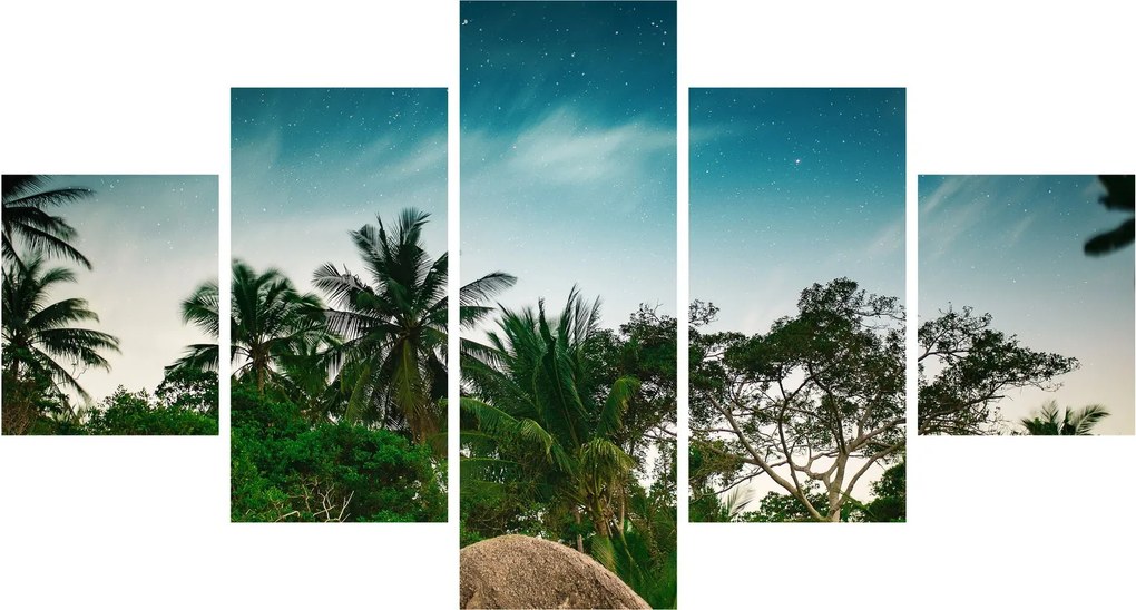 Obraz - palmy (125x70 cm)