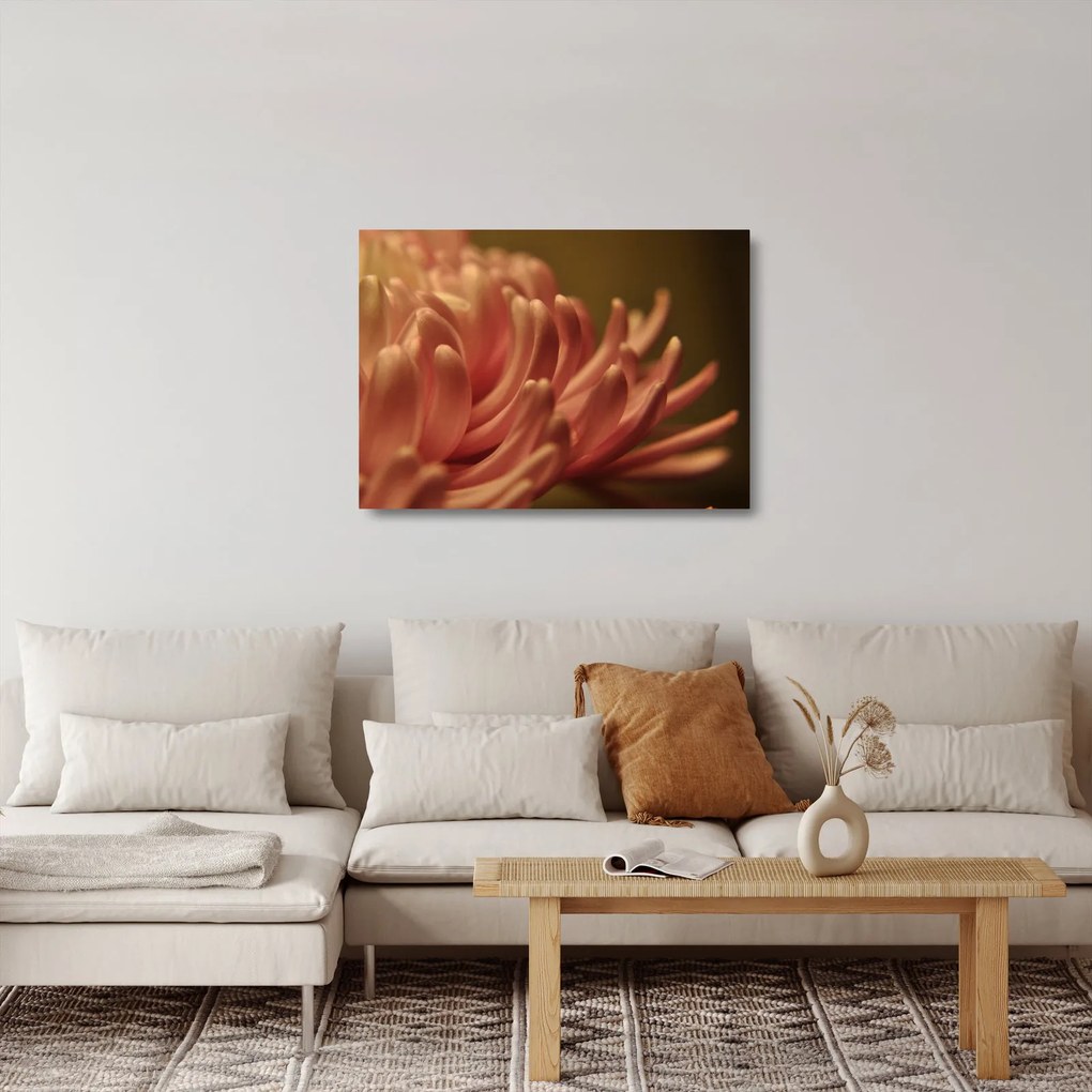 Obraz na szkle szczegółów kwiatu (70x50 cm)