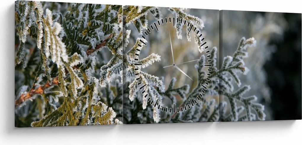 Obraz - Detal gałęzi (z zegarem) (90x30 cm)