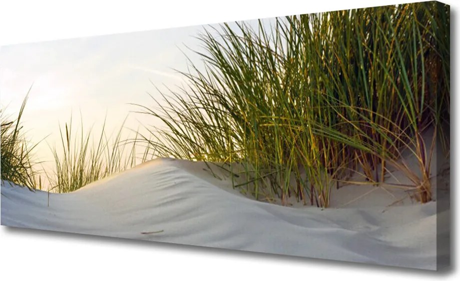 Obraz canvas na ścianę Wydmy Piaszczyste i Trawy