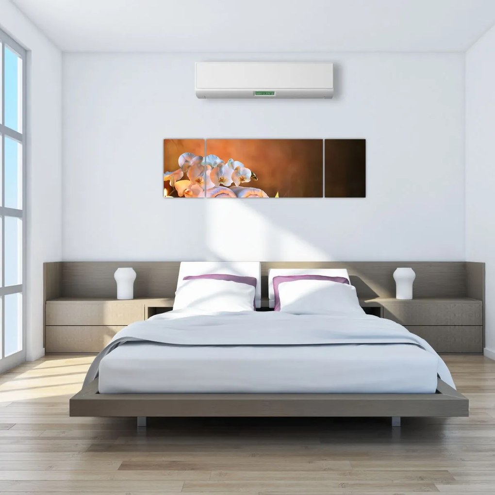 Obraz - Relaks i spa (170x50 cm)