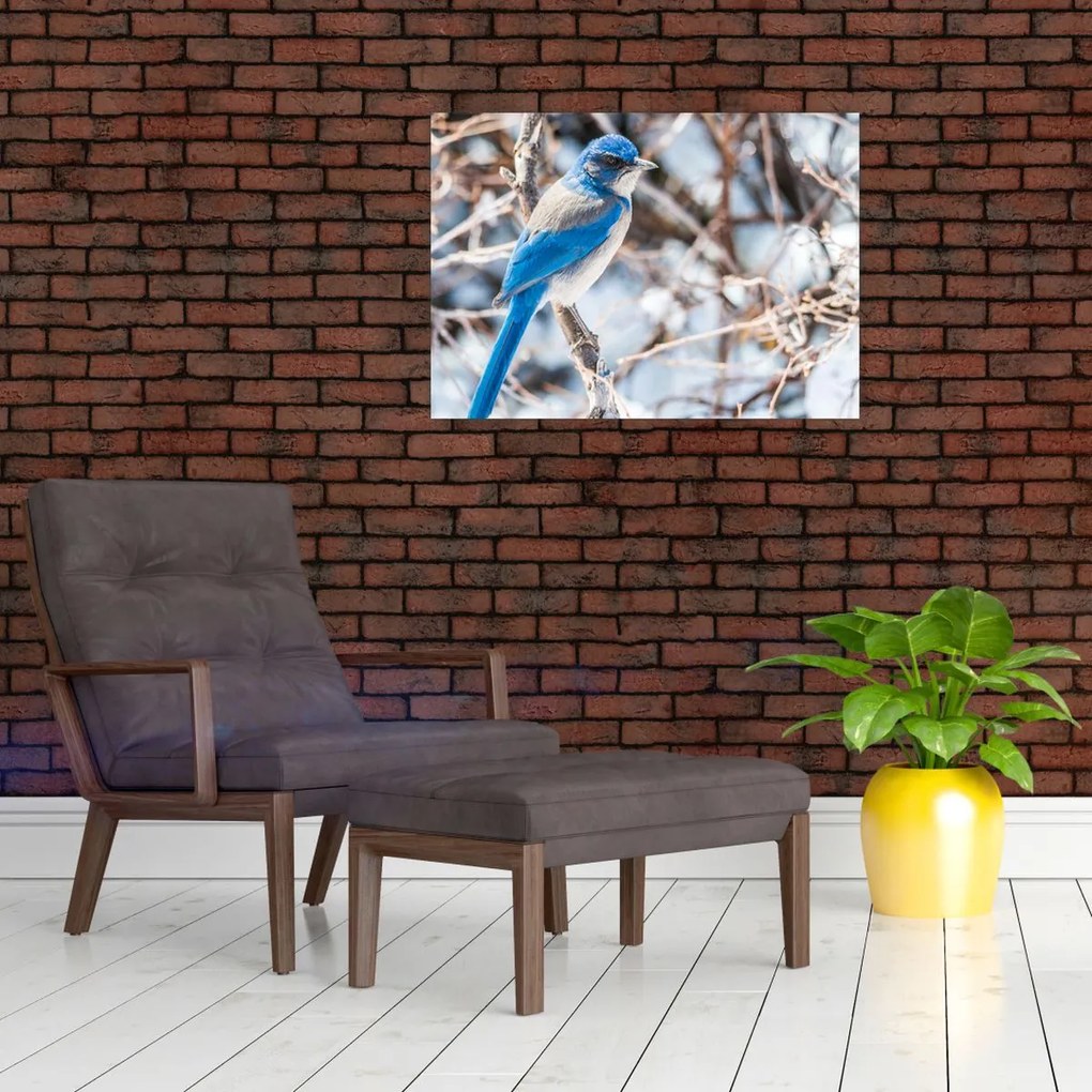 Obraz - Zimowy ptaszek (70x50 cm)