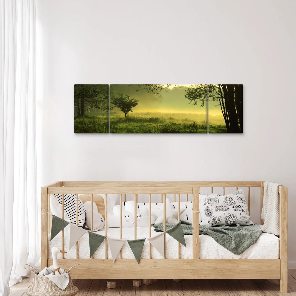 Obraz - Budzący się las (170x50 cm)