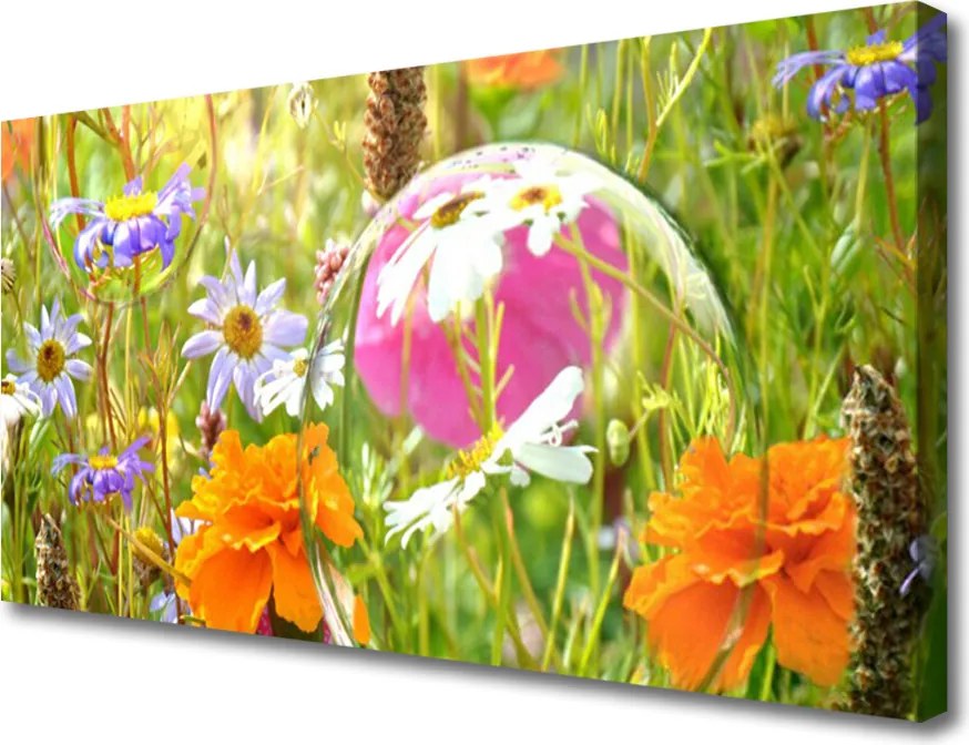 Obraz na płótnie Świeżość Kwiatów Ogrodowych