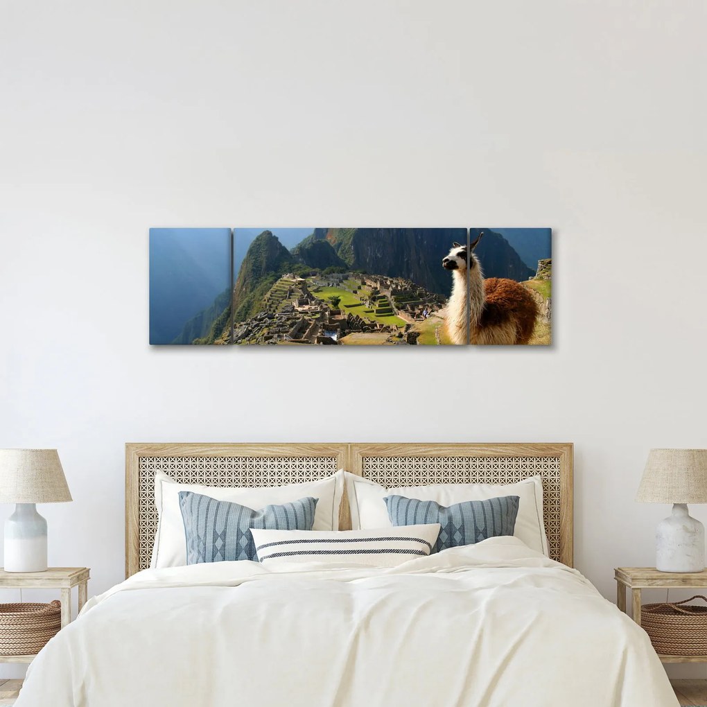 Obraz - Lama i Machu Picchu (170x50 cm)