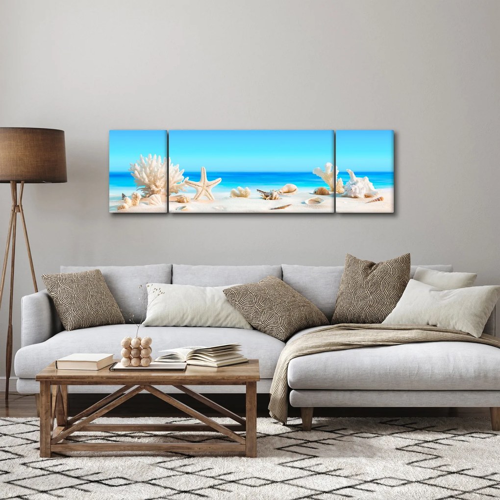 Obraz - Martwa natura z muszelkami (170x50 cm)