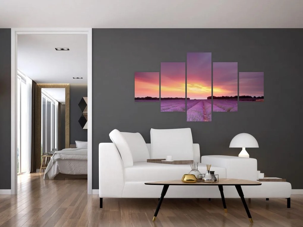 Obraz - Pole lawendy (125x70 cm)