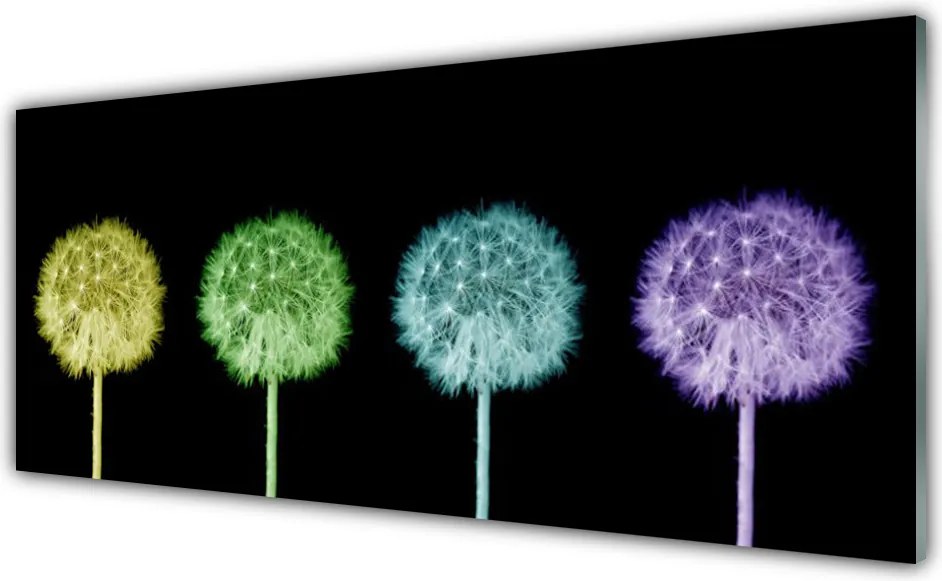 Panel Kuchenny Puszysta Kula Mniszka