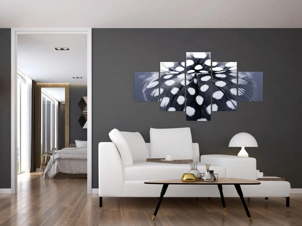 Obraz - Piórko (125x70 cm)