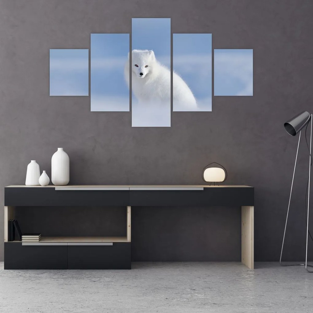 Obraz - Lis polarny (125x70 cm)