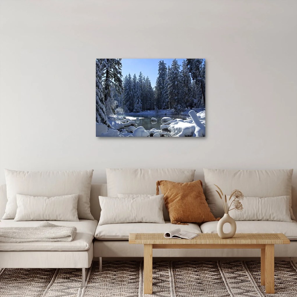 Obraz śnieżnego lasu (70x50 cm)