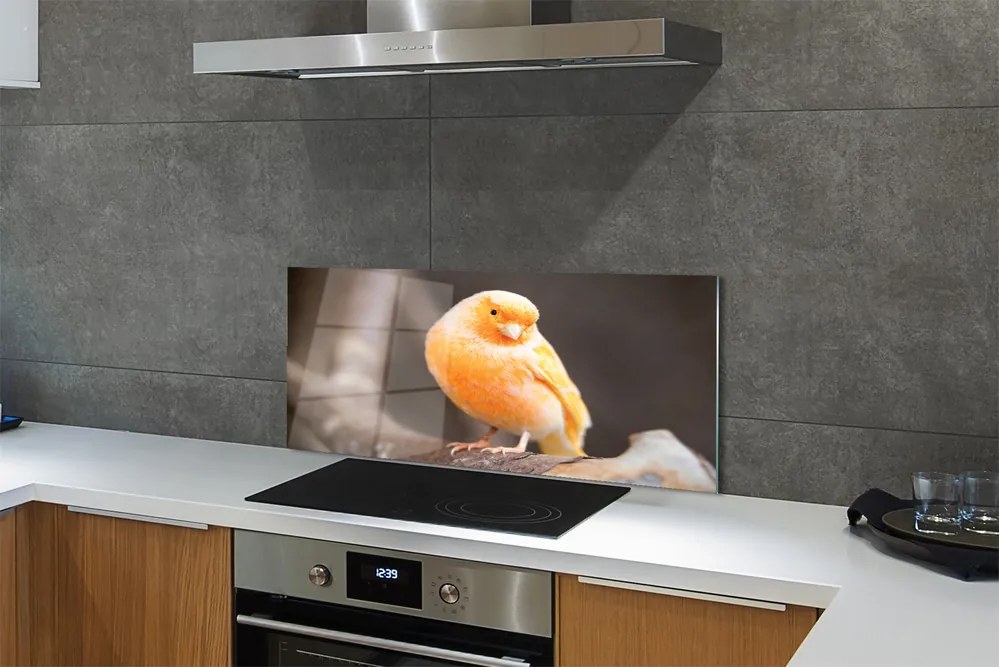 Panel szklany do Kuchni Papuga na Suchej Gałęzi