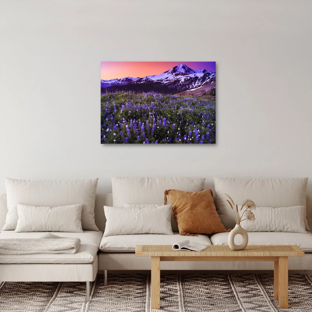 Obraz - Wulkan i kwiaty (70x50 cm)