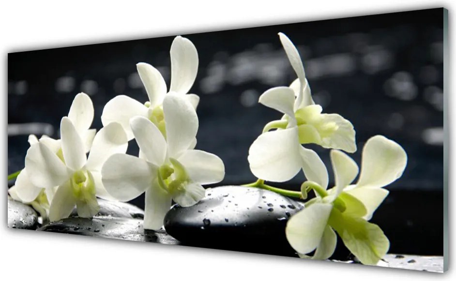 Panel Szklany Elegancja Egzotycznej Orchidei