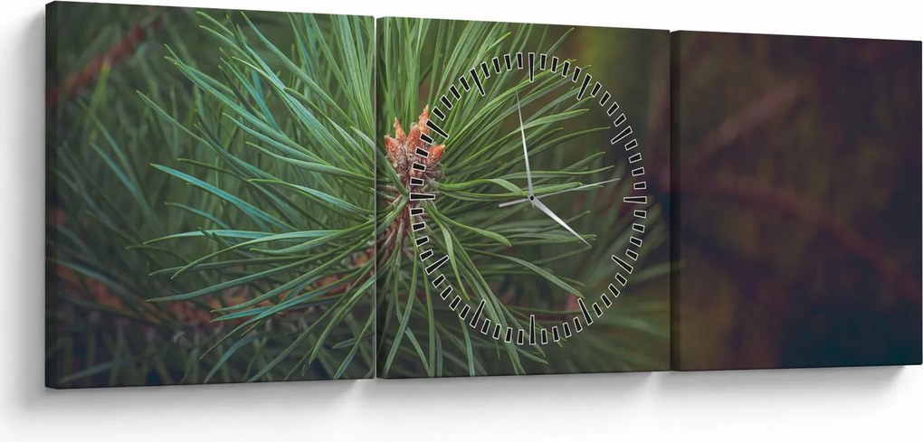 Obraz - Detal sosny (z zegarem) (90x30 cm)