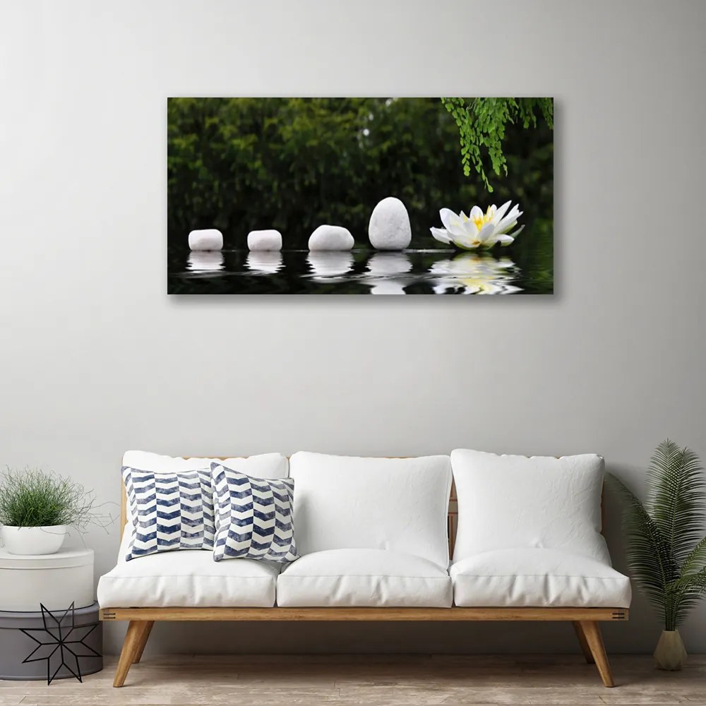 Zdjęcie na płótnie Lilia Wodna na Jeziorze