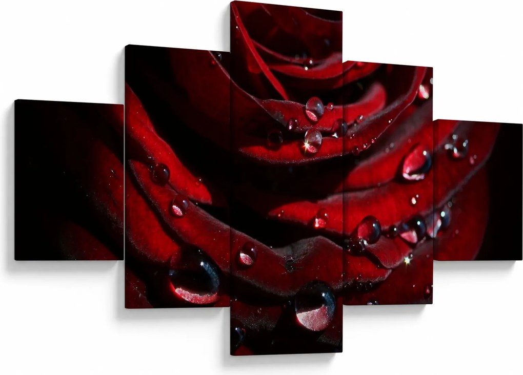 Obraz - Detal róży (125x70 cm)
