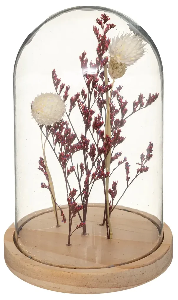 Suszone kwiaty pod szklaną kopułą FLOWER BELL, wysokość 17 cm Kolor: Pomarańczowy