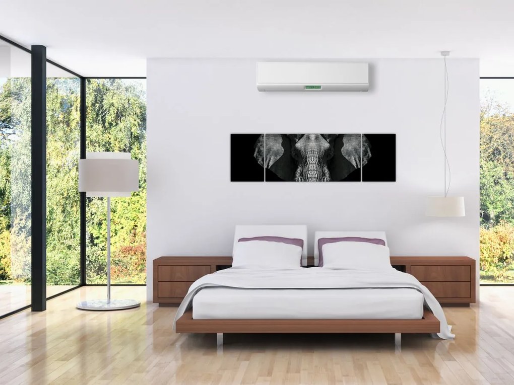 Obraz - Słoń na czarnym tle (170x50 cm)