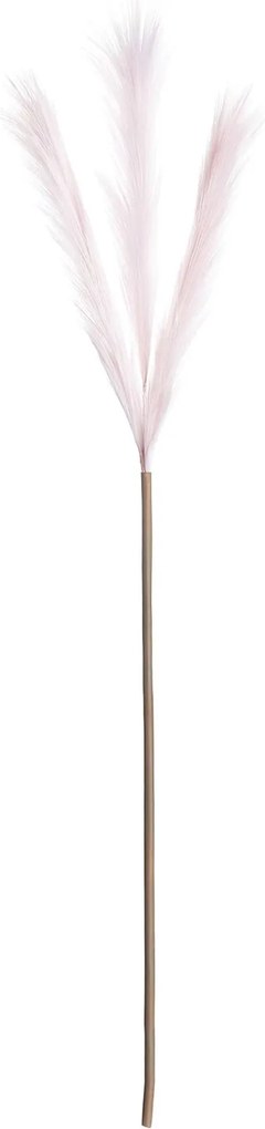 Trawa pampasowa 100cm light pink