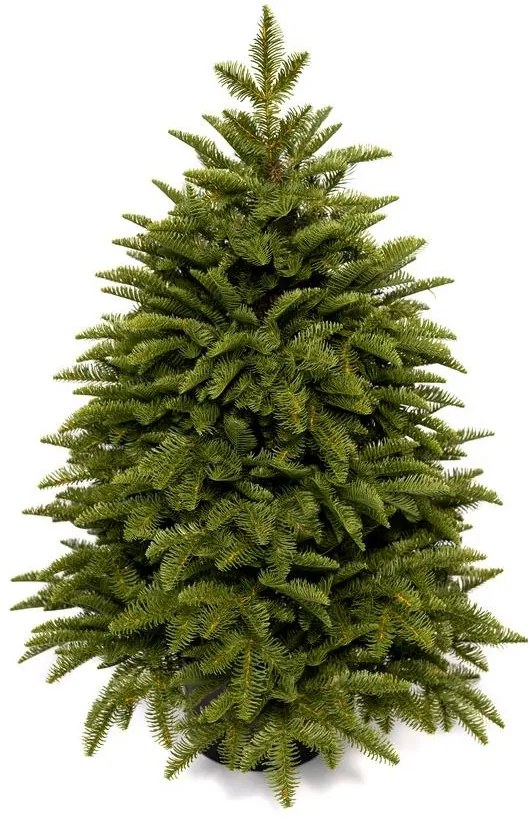 Choinka sztuczna w doniczce 100% PE Jodła Kaukaska 100cm