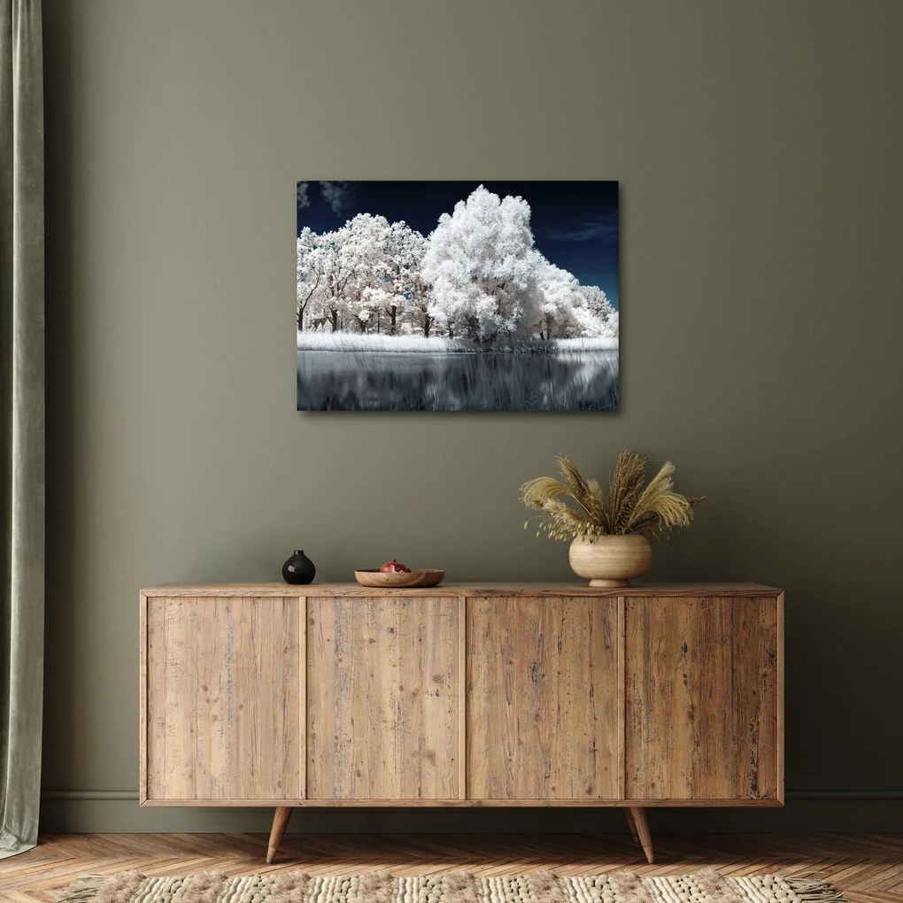 Obraz - Śnieżnobiałe drzewa (70x50 cm)