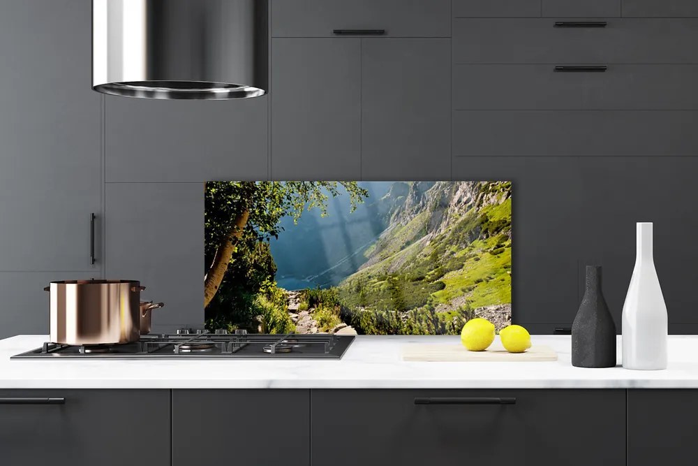 Panel Szklany Dzika Natura W Górach