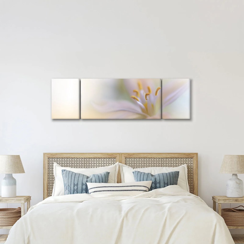 Obraz - Delikatny kwiat (170x50 cm)