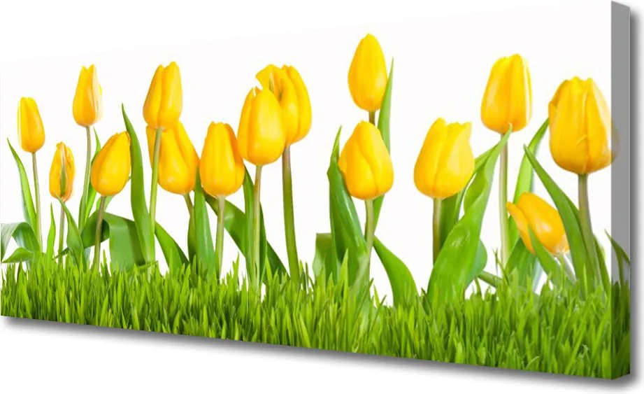 Fotoobraz na płótnie Elegancja Czerwonych Tulipanów