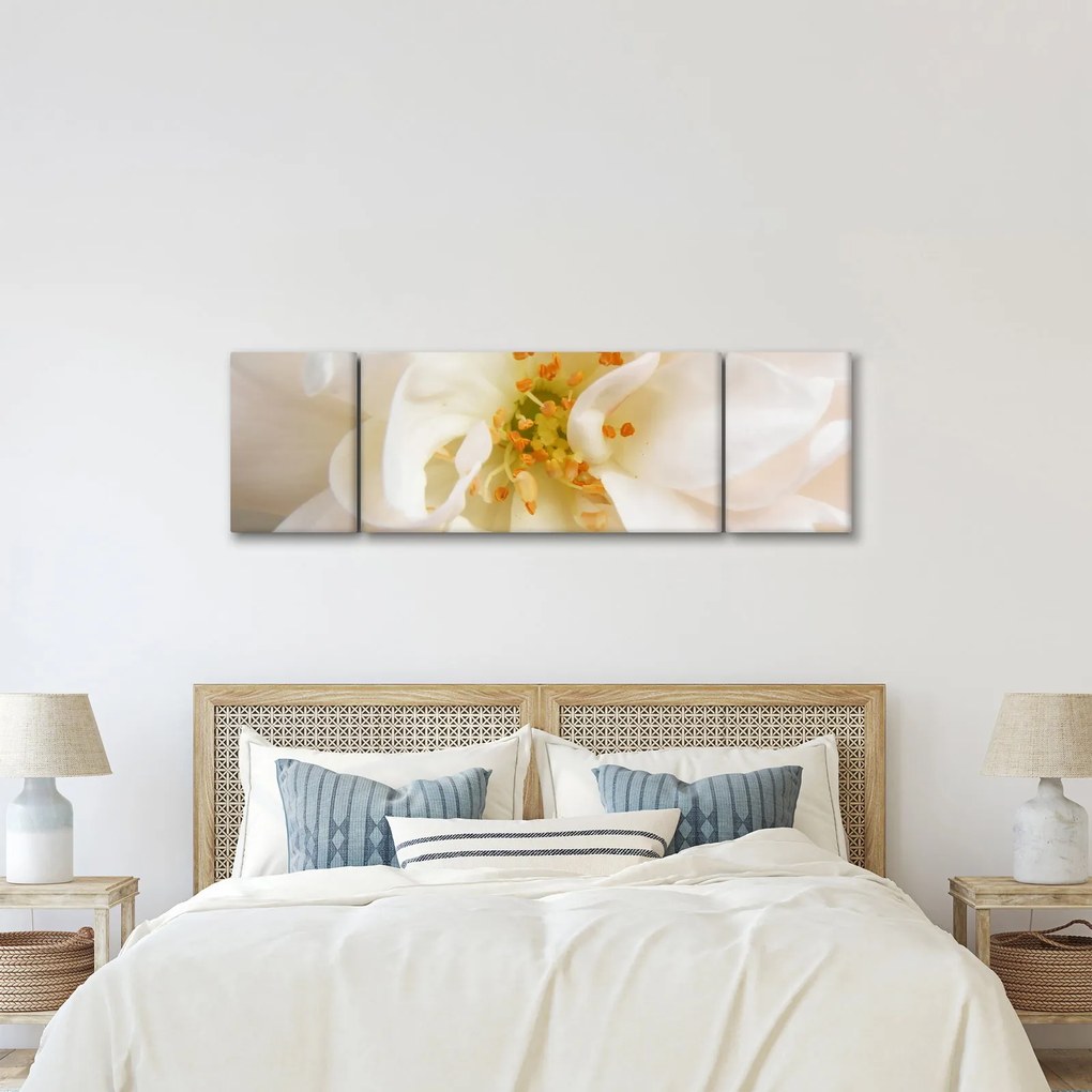 Obraz - Kwiat (170x50 cm)