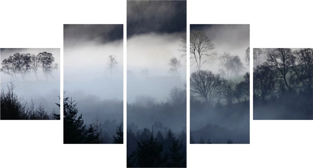 Obraz mgły nad lasem (125x70 cm)