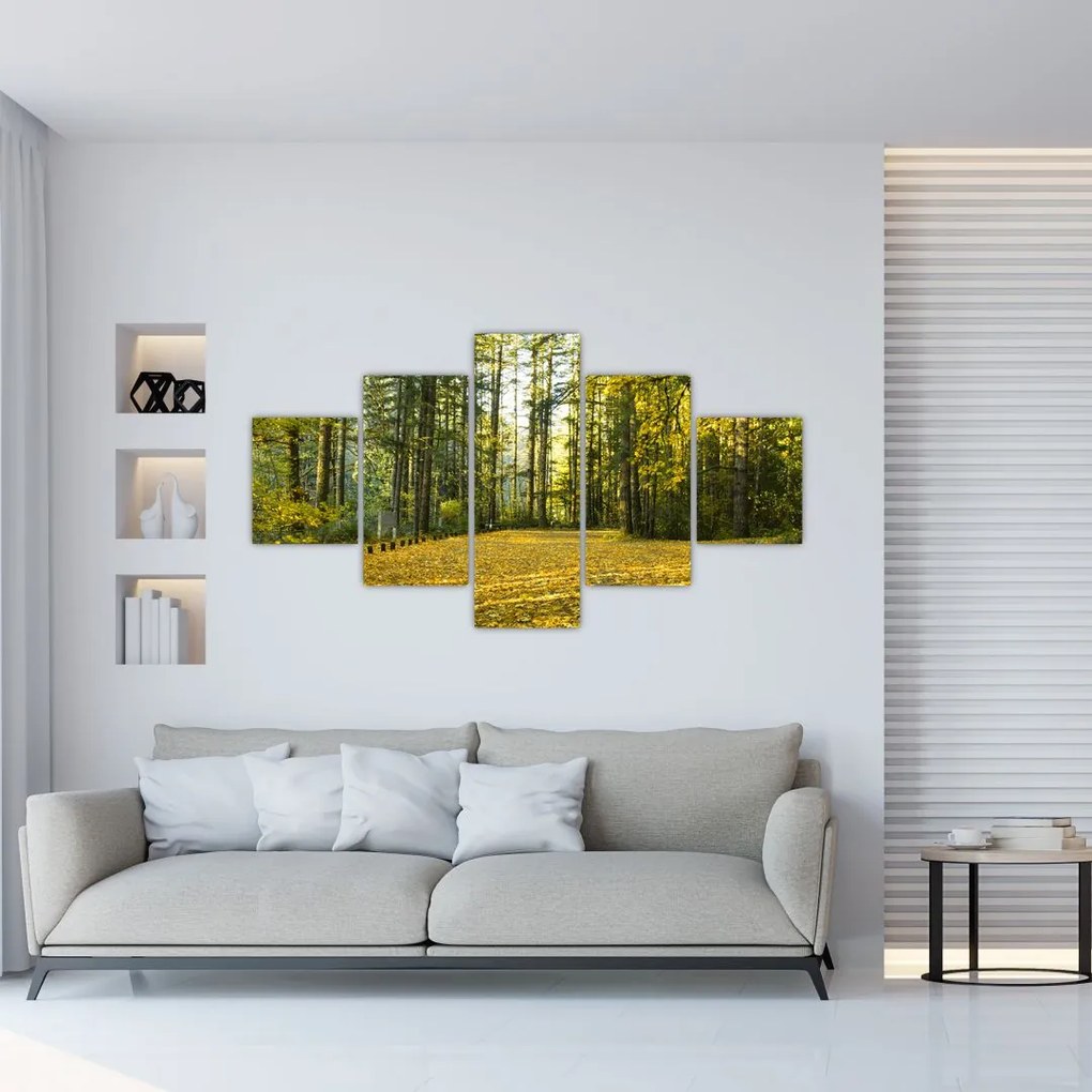 Obraz - las jesienią (125x70 cm)