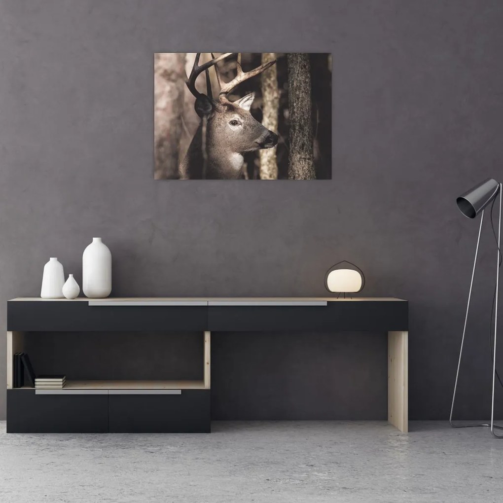 Obraz na szkle - Jeleń w lesie (70x50 cm)