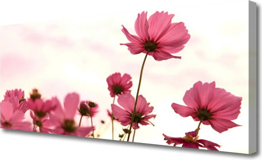 Obraz canvas Pastelowy Akcent Roślinny