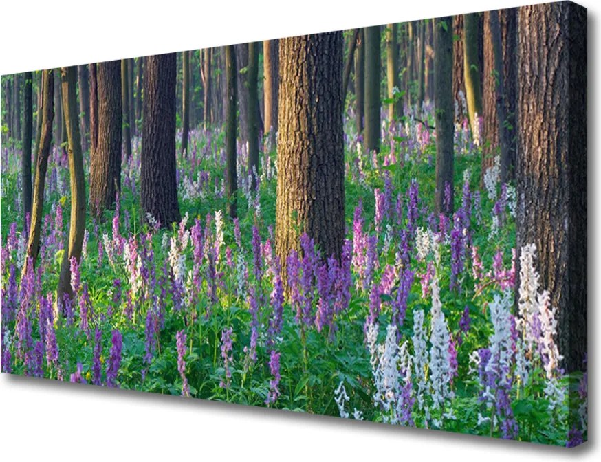 Obraz na płótnie Leśna Polana w Kwiatach