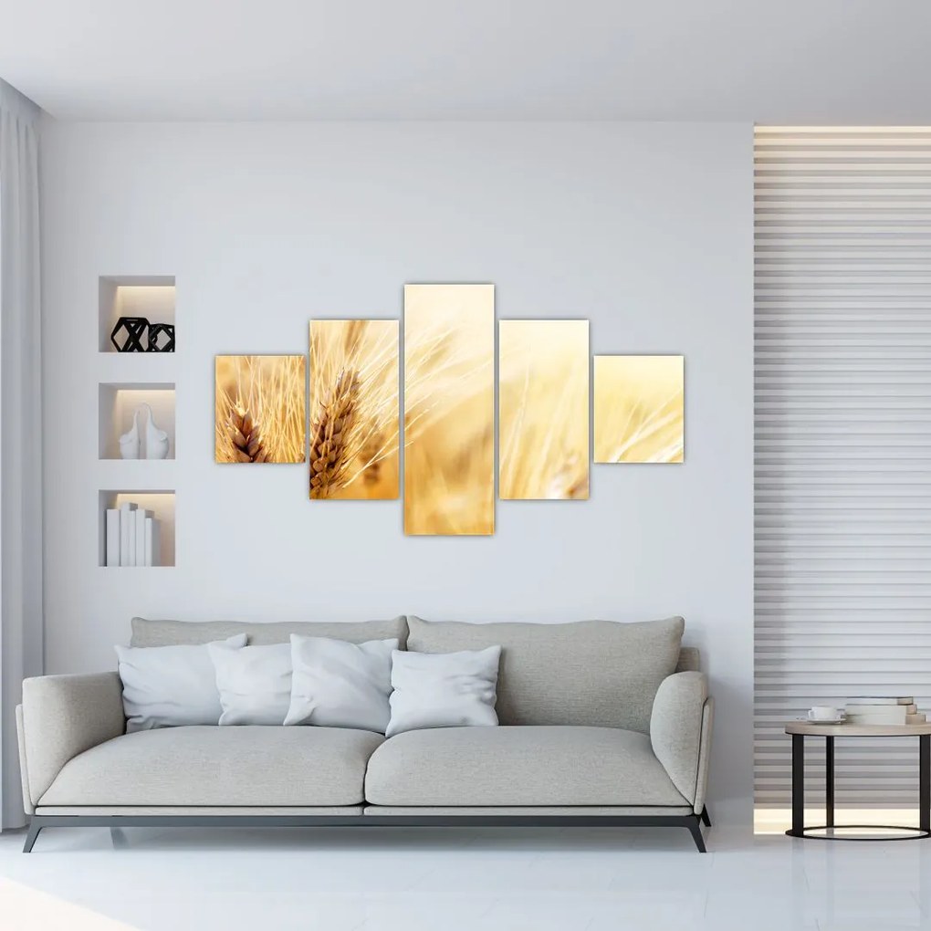 Obraz - szczegóły ziarna (125x70 cm)